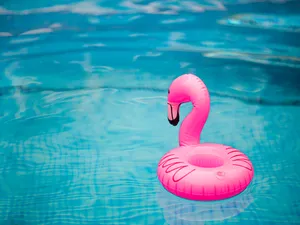 Flamingo Pool Float Wallpaper