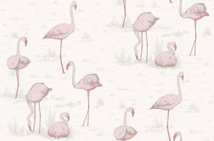 Flamingo White Pattern Wallpaper