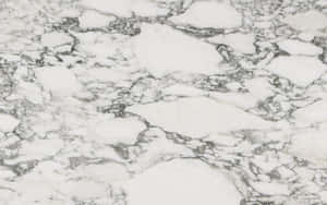 Flat Cottoned Black And White Marble Wallpaper