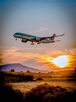 Flight With Sunlight Wallpaper