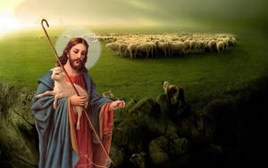 Flock Of Sheep And Jesus Desktop Wallpaper