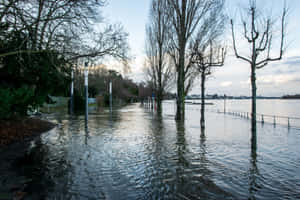 Flood Near Rhine River In Bonn Germany Wallpaper