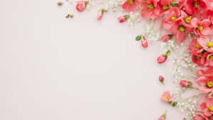 Floral Frame Pink Background Wallpaper