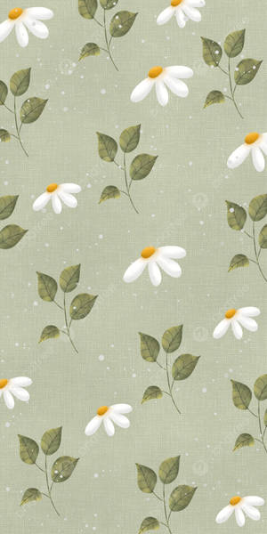 Floral Half Daisy Phone Wallpaper