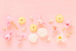 Floral Pink Pastel Aesthetic Tumblr Laptop Wallpaper