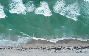 Florida Beach Sea Aerial View Wallpaper