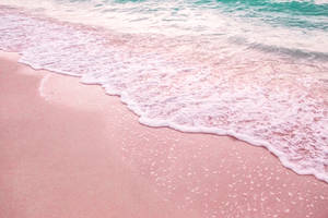 Florida Pink Shore Wallpaper