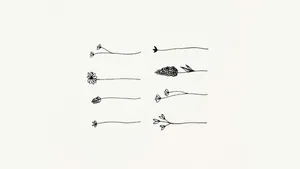 Flower Doodles In Cute White Aesthetic Wallpaper