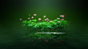 Flower Pc On Lotus Pond Wallpaper