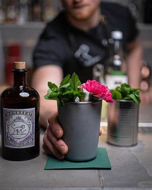 Flower Pot Cocktail Monkey 47 Wallpaper