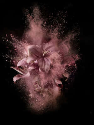 Flower Powder Explosion Rose Gold And Black Wallpaper