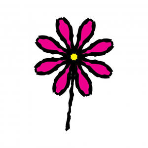 Flower Simple White Aesthetic Wallpaper