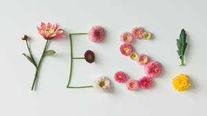 Flowerful Word Of Yes Wallpaper