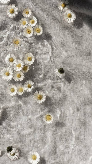 Flowers Aesthetic On Cloth Wallpaper