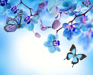 Flowers And Butterflies Blue Capture Wallpaper