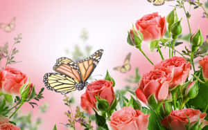 Flowers And Butterflies Windows Screen Hd Wallpaper