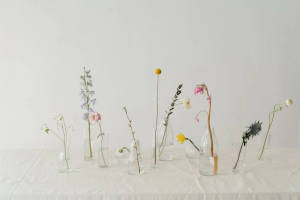 Flowers In Clear Glass Vase Facebook Cover Wallpaper