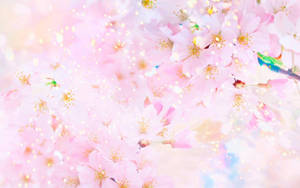 Flowers In Pink Pastel Aesthetic Desktop Wallpaper