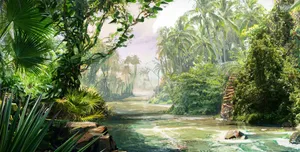 Flowing River In A Jungle Desktop Wallpaper