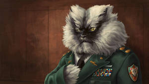 Fluffy Military Cat Wallpaper