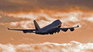 Flying United Airplane During Sunset Wallpaper