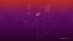 Focal Fossa Of Ubuntu Wallpaper