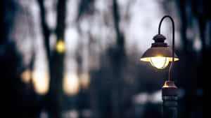 Focused Street Light Wallpaper