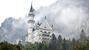 Fog Around Neuschwanstein Castle Wallpaper