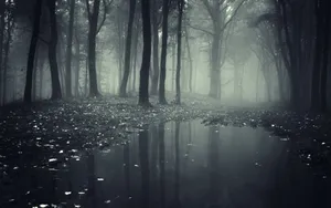 Foggy Dark Forest Hd Wallpaper