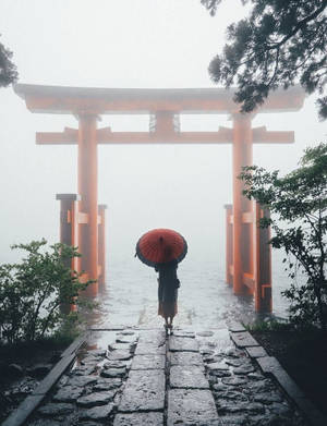 Foggy Red Torii Gate Wallpaper