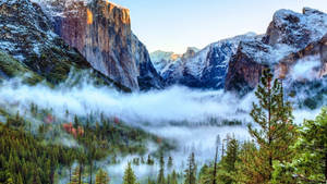 Foggy Yosemite National Park Wallpaper