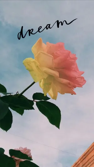 Follow Your Dreams And Create Your Life. Wallpaper