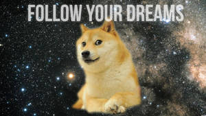 Follow Your Dreams Doge Meme Wallpaper