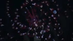 Follow Your Dreams With Hbo's Euphoria Wallpaper