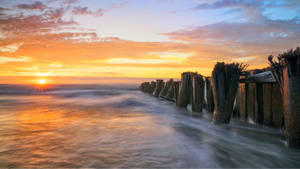 Folly Beach Sunrise Scenery Wallpaper