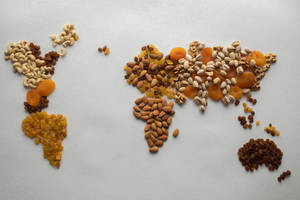 Food Countries Map Wallpaper