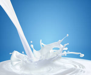 Food Photography Splashing Milk Liquid Wallpaper