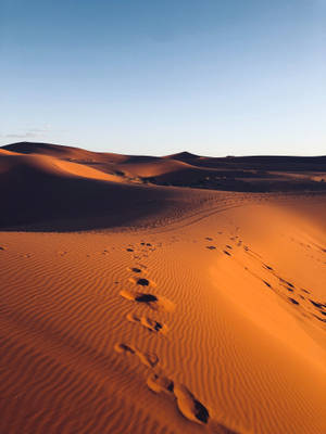 Footprints In The Desert Wallpaper