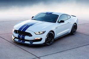 Ford Shelby Gt350 Wallpaper