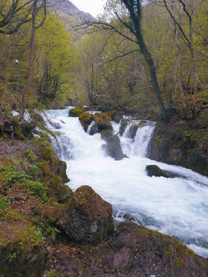 Forest And Falls In Kosovo Wallpaper