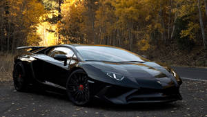 Forest Black Lamborghini Wallpaper