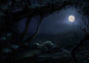 Forest Clearing Moon Night Sky Wallpaper