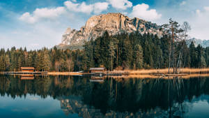 Forest Lake In Southern Tyrol Wallpaper