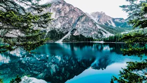 Forest Lake Pragser Wildsee Wallpaper