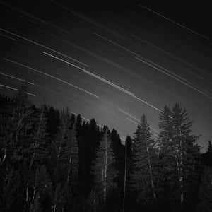 Forest Meteor Shower Dark Ipad Wallpaper