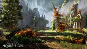 Forest View Dragon Age Inquisition Wallpaper