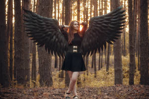 Forest Woman Black Angel Wings Wallpaper