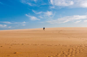Forever Alone Person On A Desert Wallpaper