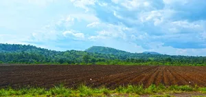 Foumbot Cameroon Vast Field And Mountain. Wallpaper