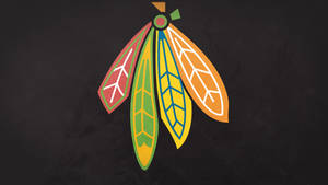 Four Feathers Chicago Blackhawks Wallpaper
